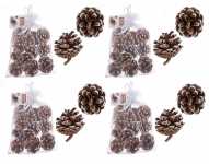Kiefernzapfen / Tannenzapfen mit Schnee 48er SET  Deko 5-6 cm Naturzapfen Weihnachtsdeko