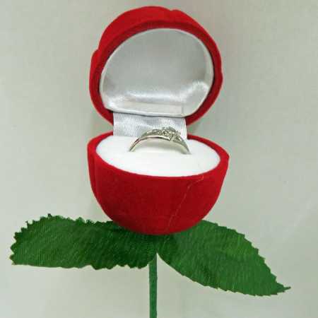 Antragsrose Rote Rosenknospe als Schatulle mit kleinem Fingerring