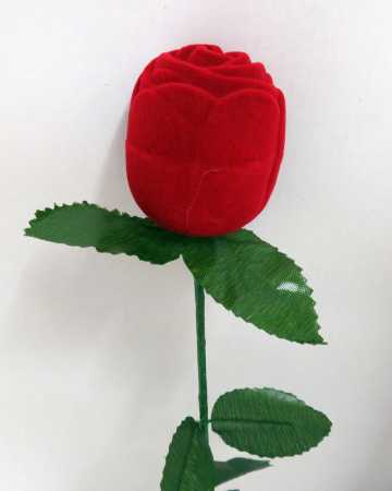 Antragsrose Rote Rosenknospe als Schatulle mit kleinem Fingerring
