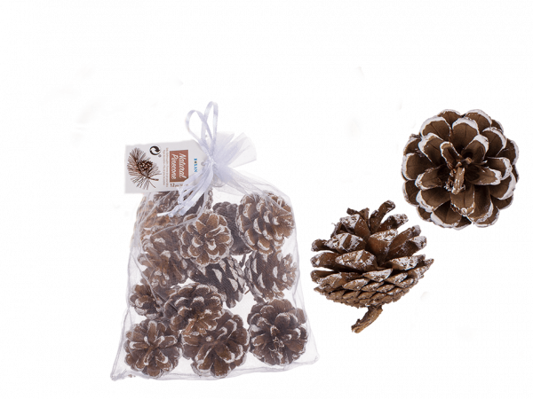Kiefernzapfen / Tannenzapfen mit Schnee 48er SET  Deko 5-6 cm Naturzapfen Weihnachtsdeko