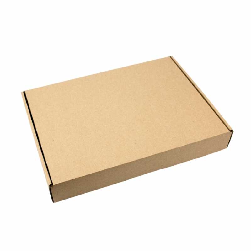 Versand SET: 5x Maxibriefkarton L Versandkarton 350x245x48mm braun + ca. 2,3kg Füllmaterial
