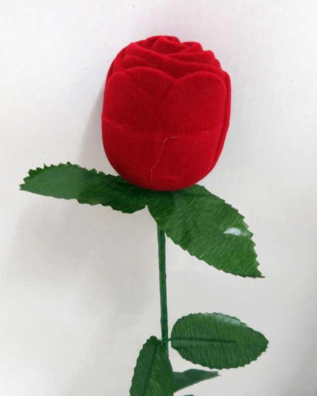 Antragsrose Rote Rosenknospe als Schatulle mit kleinem Fingerring