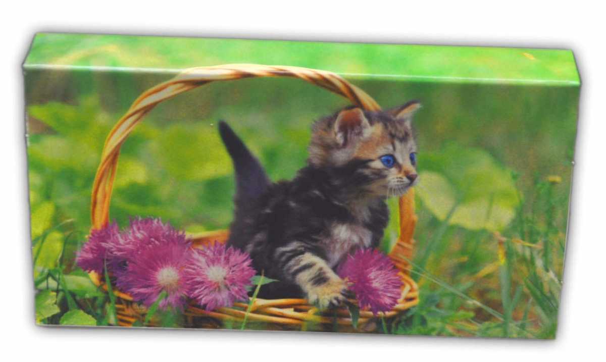 XL Streichholzschachteln Tier Motive: 8 x 50er Packungen / 10cm Hund/Katze / Hase Streichhölzer Zündhölzer