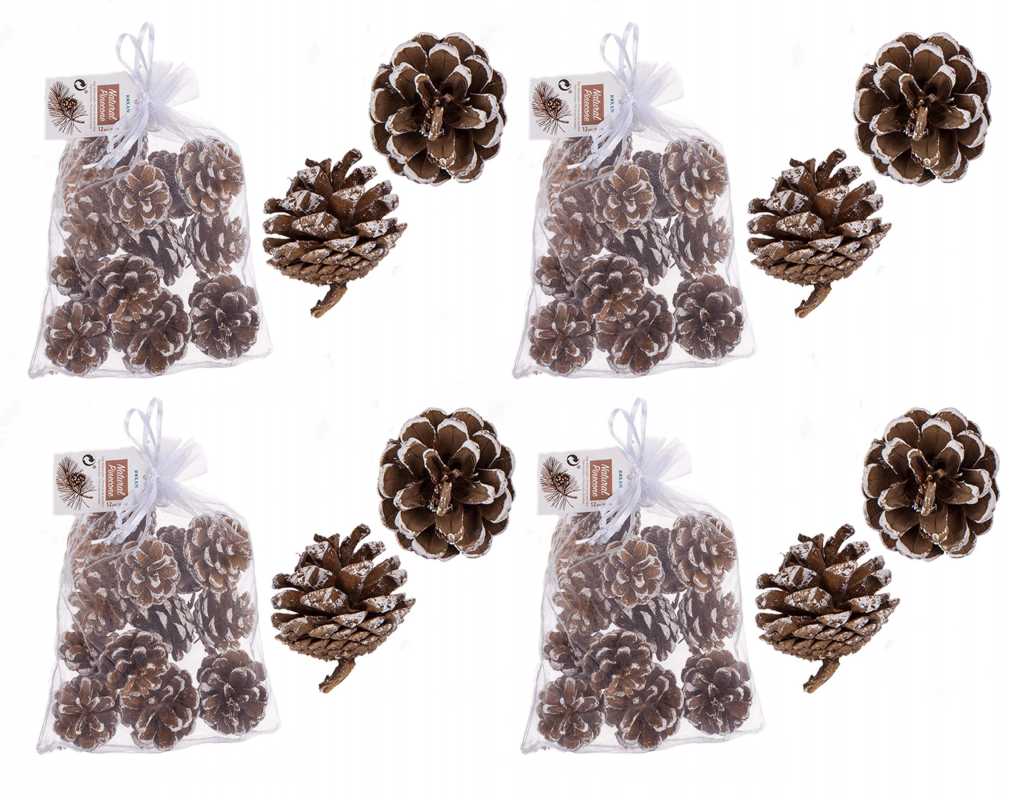 Kiefernzapfen / Tannenzapfen mit Schnee 48er SET  Deko 5-6 cm Naturzapfen Weihnachtsdeko