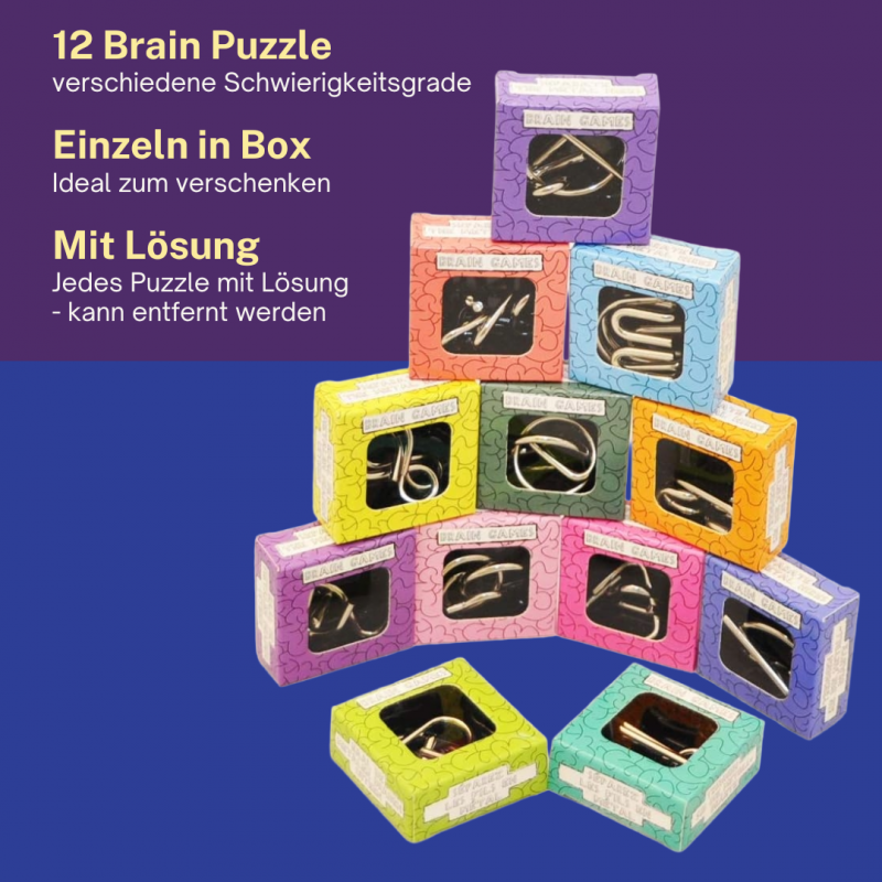 12 Geduldspiele/Geschicklichkeitsspiele/Knobelspiele für Erwachsene / 12-teiliges Metallpuzzle Set/Denkspiel aus Metall - verschiedenen Schwierigkeiten mit Lösung 3D Puzzle