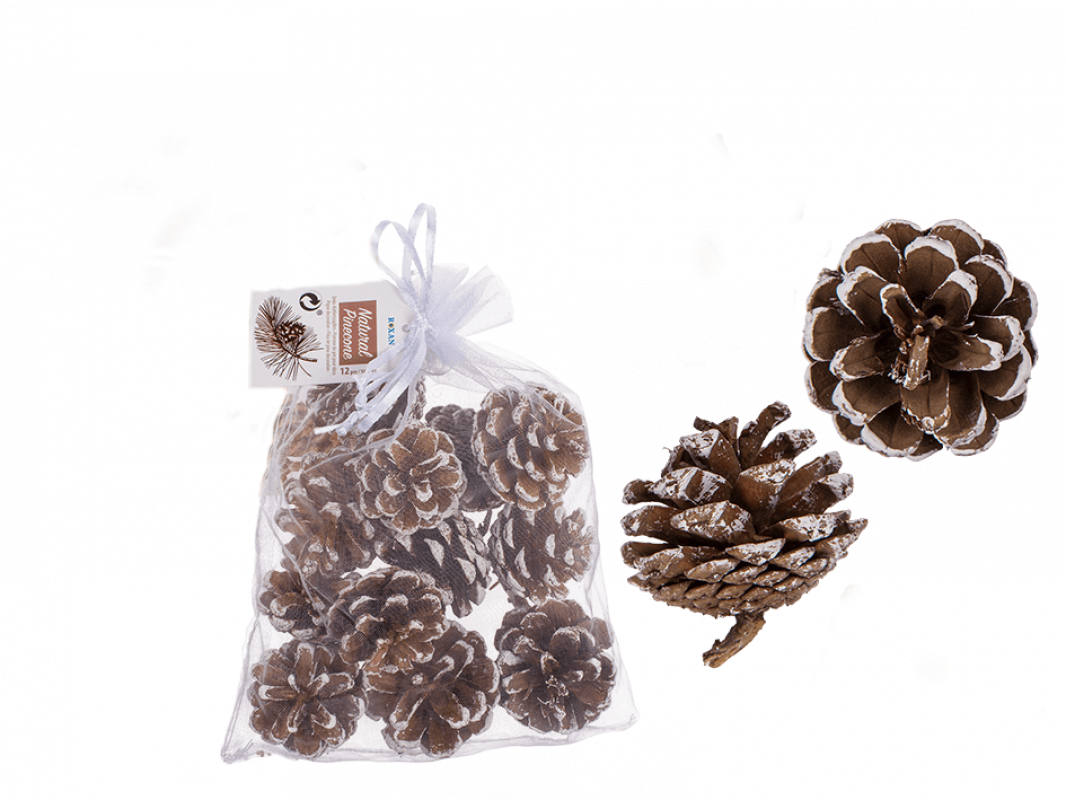 Kiefernzapfen / Tannenzapfen mit Schnee 48er SET  Deko 5-6 cm Naturzapfen Weihnachtsdeko