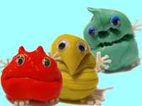 Intelligente Superknete im Set: Monsterknete Knetmonster gold - rot - gelb - grün